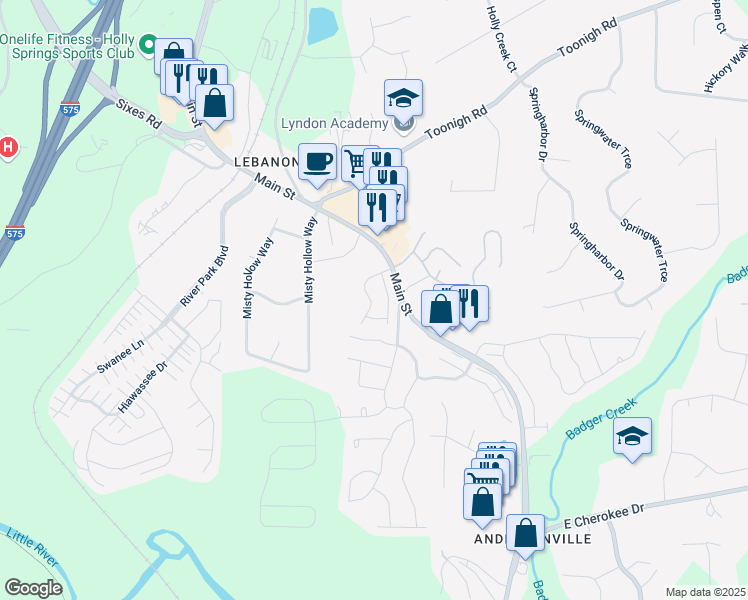 map of restaurants, bars, coffee shops, grocery stores, and more near 251 Turner Lane in Holly Springs