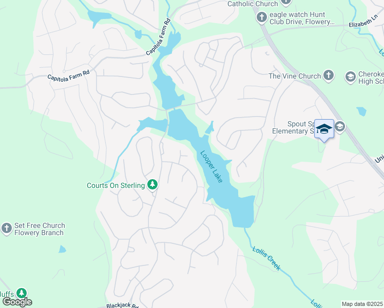 map of restaurants, bars, coffee shops, grocery stores, and more near 7217 Paddlewheel Court in Flowery Branch