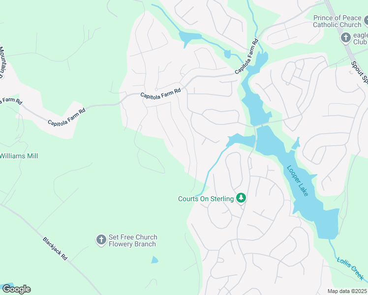 map of restaurants, bars, coffee shops, grocery stores, and more near 6968 River Rock Drive in Flowery Branch