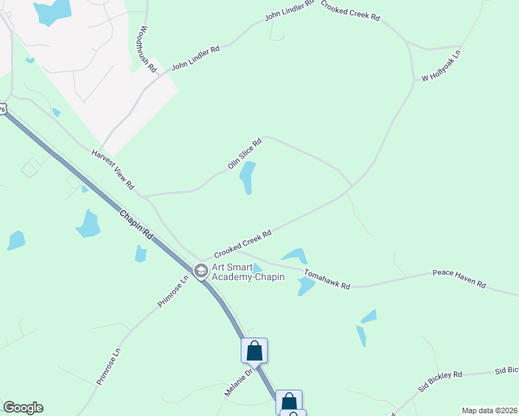 map of restaurants, bars, coffee shops, grocery stores, and more near 245 Crooked Creek Road in Chapin