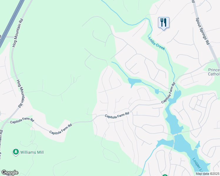 map of restaurants, bars, coffee shops, grocery stores, and more near 6903 Woodtrail Run in Flowery Branch