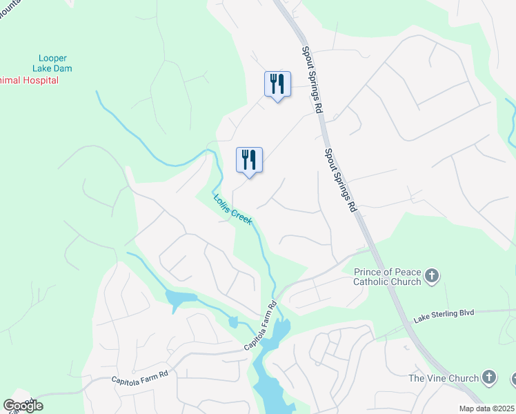 6748 Carriage Walk Lane, Flowery Branch GA Walk Score