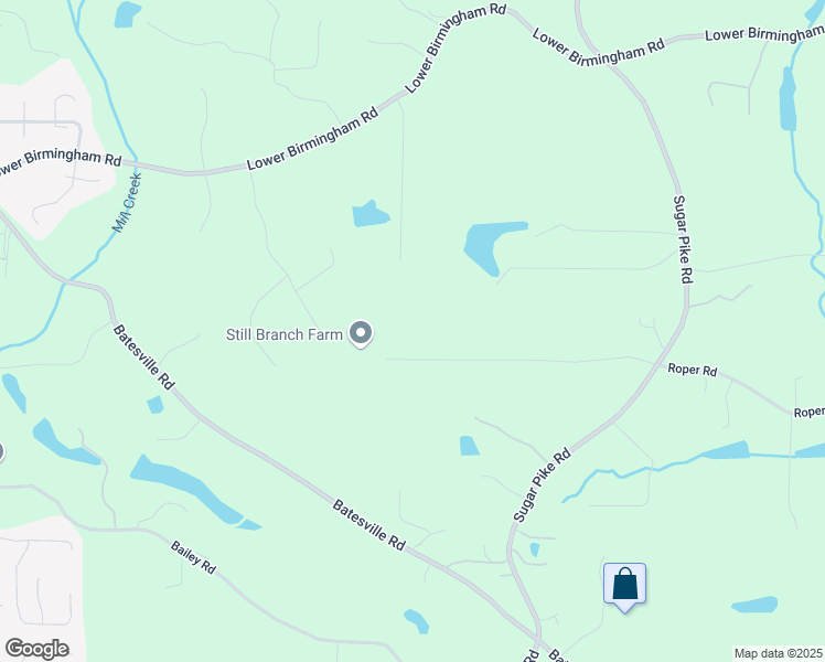 map of restaurants, bars, coffee shops, grocery stores, and more near 667 Still Branch Drive in Canton