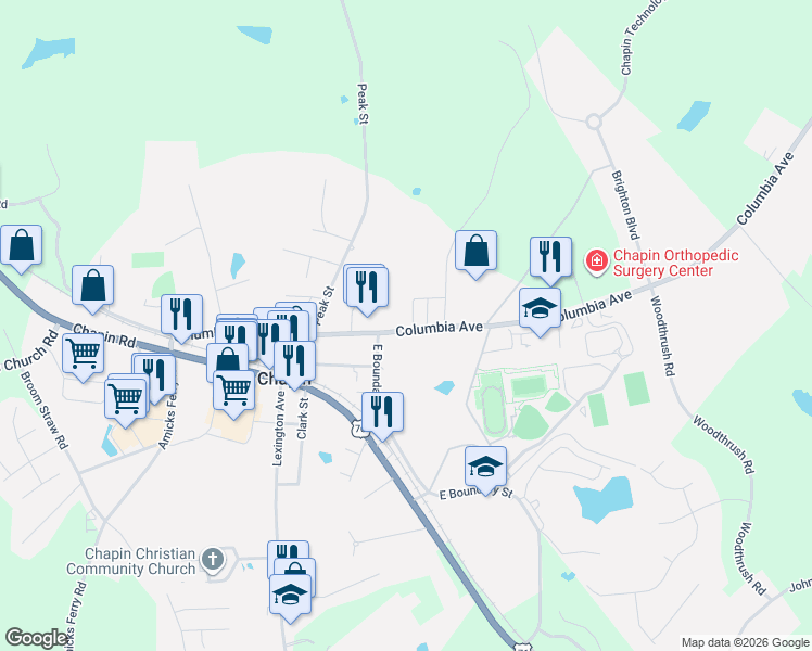 map of restaurants, bars, coffee shops, grocery stores, and more near 241 Columbia Avenue in Chapin