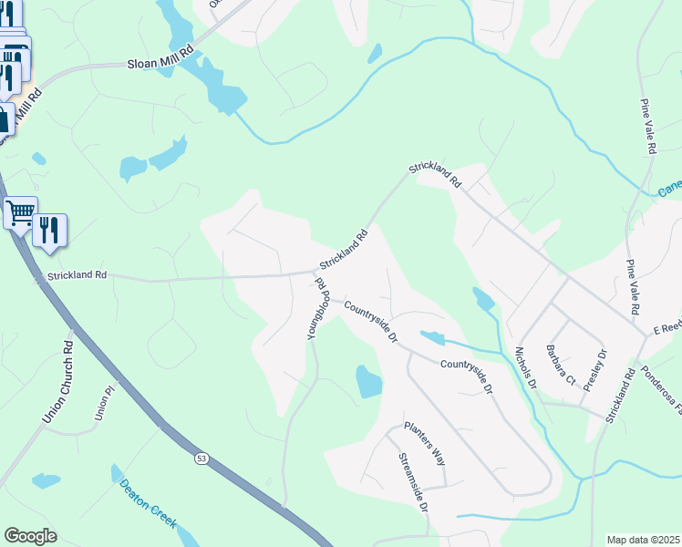 4616 Strickland Road, Flowery Branch GA Walk Score