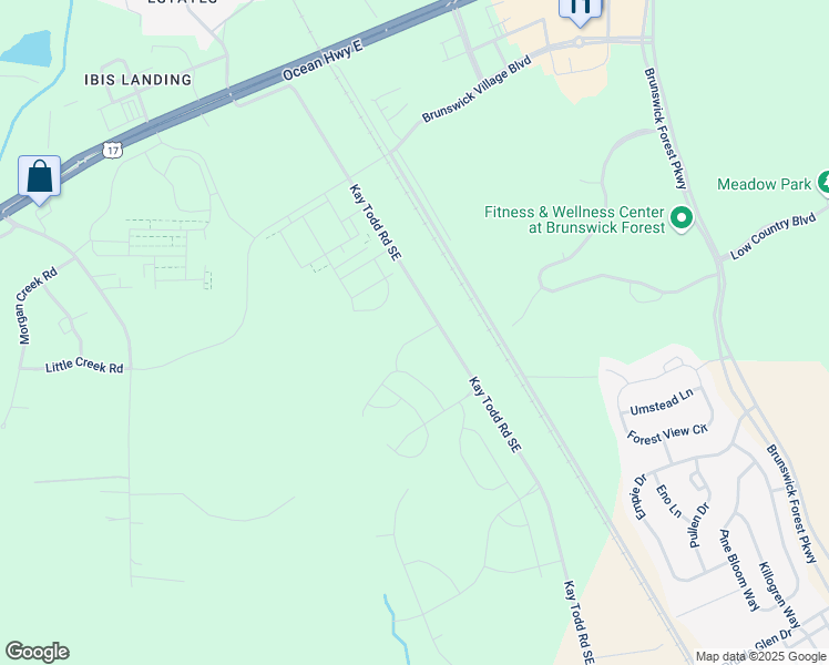 map of restaurants, bars, coffee shops, grocery stores, and more near 4226 Allsbrook Lane in Leland