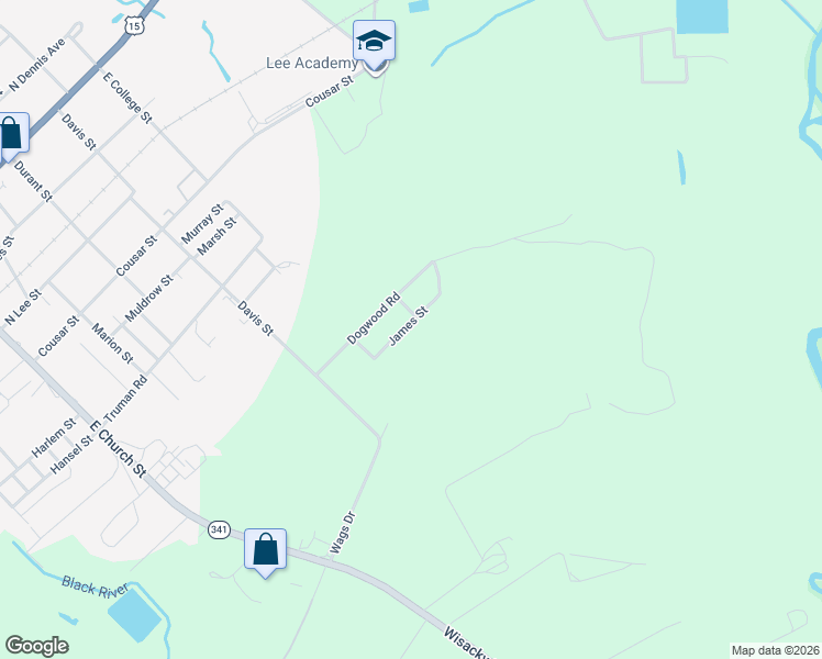 map of restaurants, bars, coffee shops, grocery stores, and more near 530 James Street in Bishopville