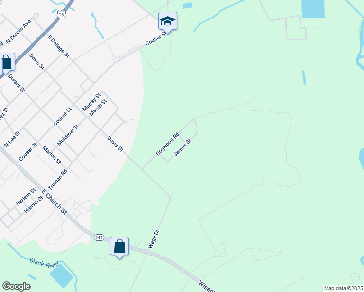 map of restaurants, bars, coffee shops, grocery stores, and more near 529 James Street in Bishopville