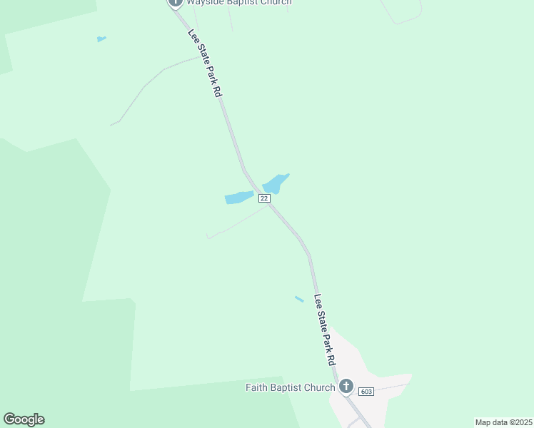 map of restaurants, bars, coffee shops, grocery stores, and more near 12 Razor Lane in Bishopville