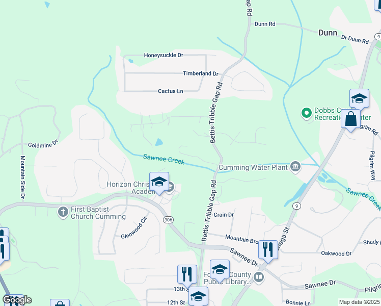 map of restaurants, bars, coffee shops, grocery stores, and more near 1520 Camden Cove Drive in Cumming