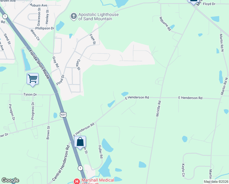 map of restaurants, bars, coffee shops, grocery stores, and more near 567 East Henderson Road in Boaz