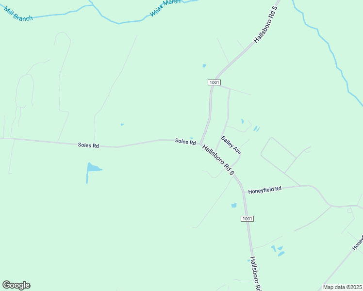 map of restaurants, bars, coffee shops, grocery stores, and more near 2076 Soles Road in Whiteville