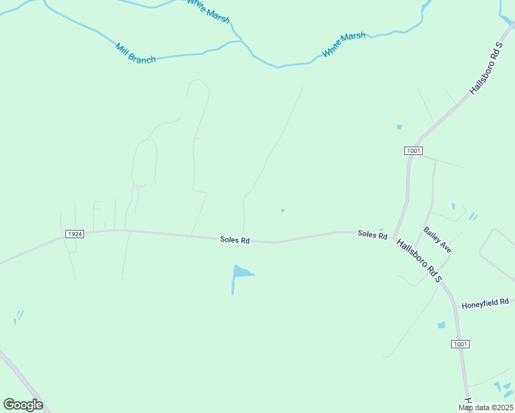 map of restaurants, bars, coffee shops, grocery stores, and more near 124 Tanglewood Acres Drive in Whiteville