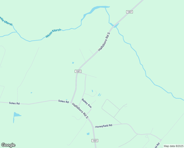 map of restaurants, bars, coffee shops, grocery stores, and more near 133 Pinewood Lane in Whiteville