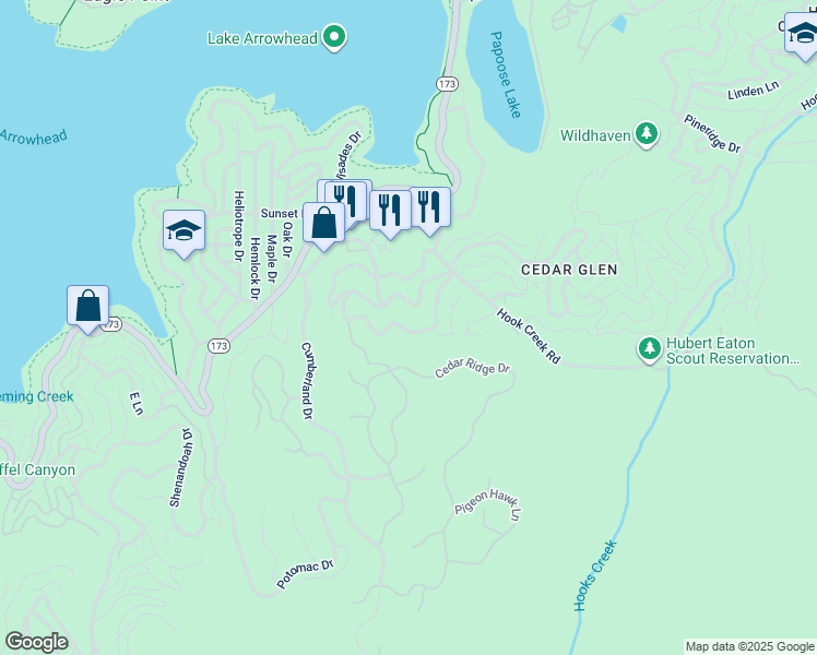 map of restaurants, bars, coffee shops, grocery stores, and more near 29054 Alder Terrace in Lake Arrowhead