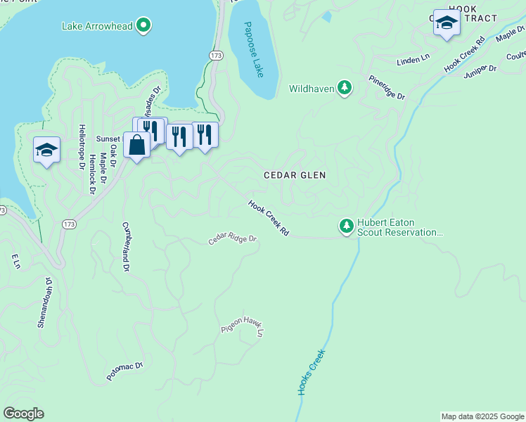 map of restaurants, bars, coffee shops, grocery stores, and more near Pine Drive in Lake Arrowhead