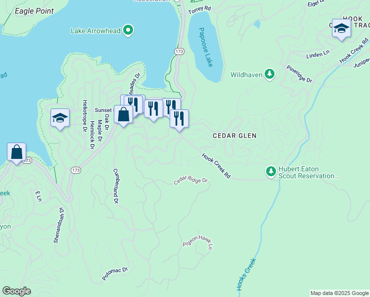map of restaurants, bars, coffee shops, grocery stores, and more near 29151 Lyon Drive in Lake Arrowhead