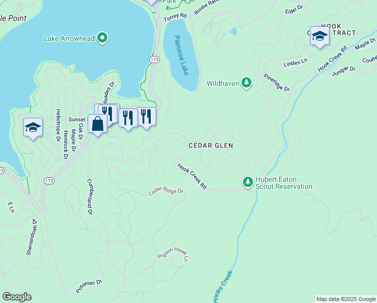 map of restaurants, bars, coffee shops, grocery stores, and more near 29259 Lake Brook Avenue in Lake Arrowhead