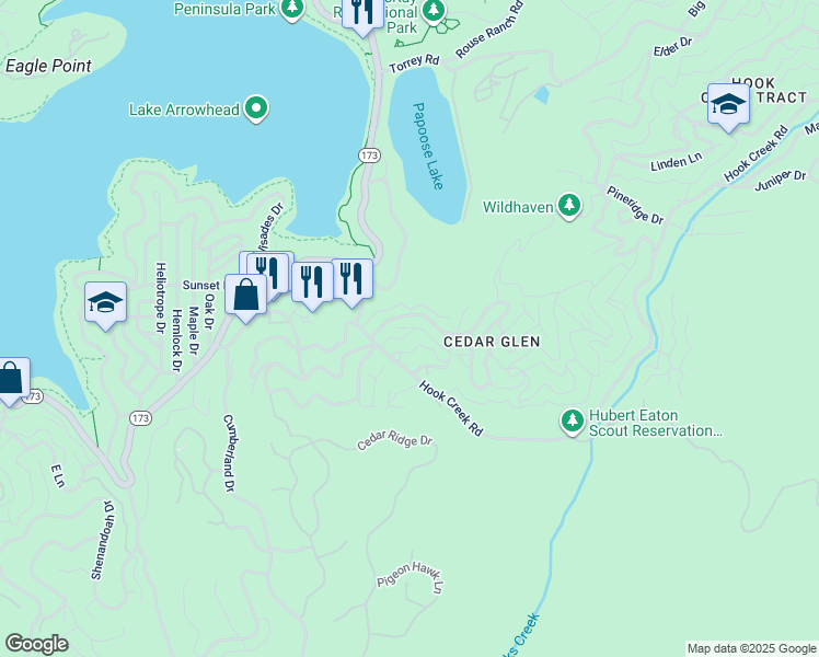 map of restaurants, bars, coffee shops, grocery stores, and more near 29196 Lake Brook Avenue in Lake Arrowhead