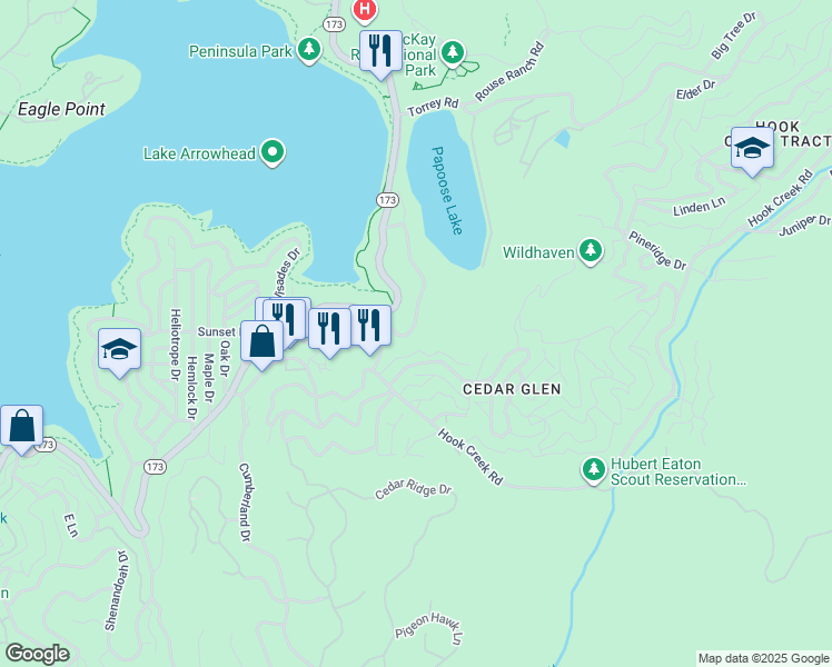 map of restaurants, bars, coffee shops, grocery stores, and more near 385 Emerald Drive in Lake Arrowhead