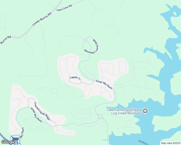 map of restaurants, bars, coffee shops, grocery stores, and more near 313 Willow Cove in Canton