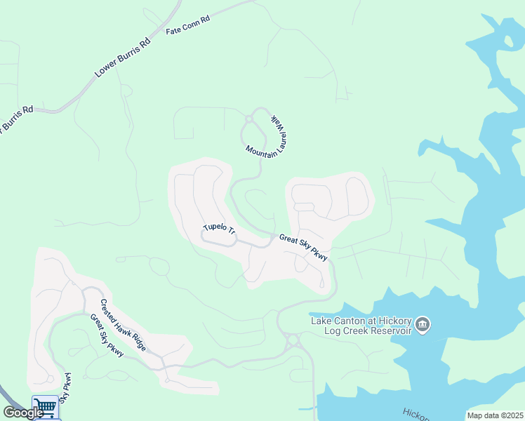 map of restaurants, bars, coffee shops, grocery stores, and more near 316 Willow Cove in Canton