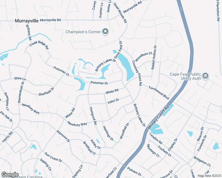 map of restaurants, bars, coffee shops, grocery stores, and more near 2813 White Road in Wilmington