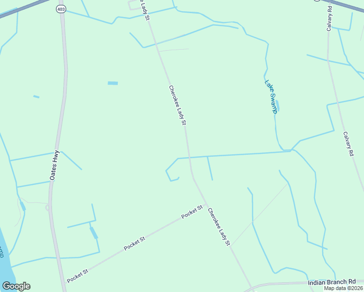 map of restaurants, bars, coffee shops, grocery stores, and more near 2808 Cherokee Lady Street in Hartsville