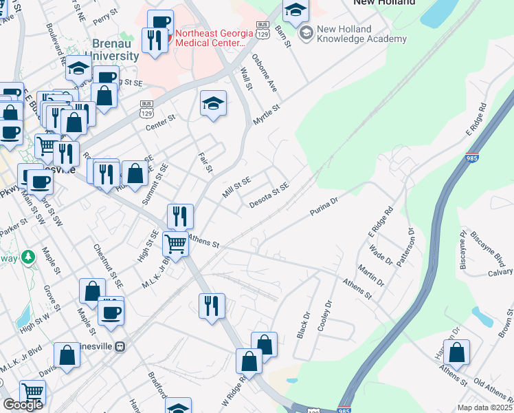 map of restaurants, bars, coffee shops, grocery stores, and more near 1042 Desota Street Southeast in Gainesville