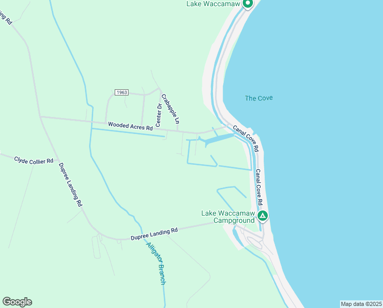 map of restaurants, bars, coffee shops, grocery stores, and more near 161 Oak Road in Lake Waccamaw