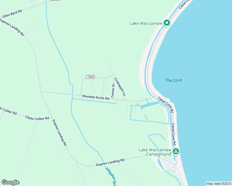 map of restaurants, bars, coffee shops, grocery stores, and more near 118 Center Drive in Lake Waccamaw