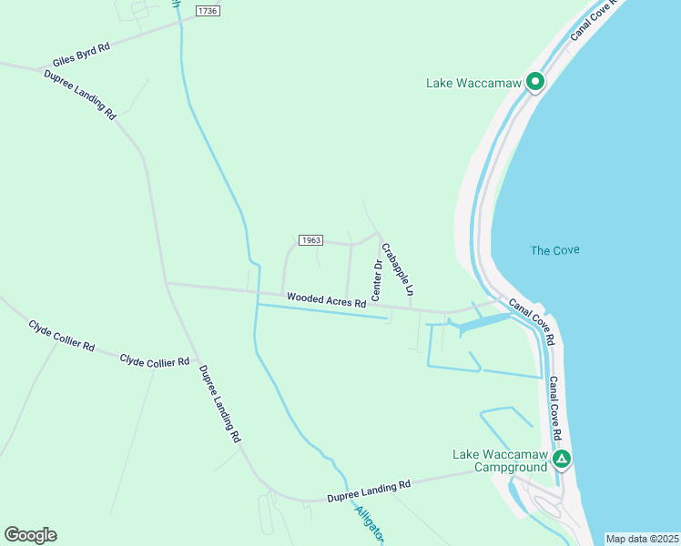 map of restaurants, bars, coffee shops, grocery stores, and more near 119 White Pine Road in Lake Waccamaw