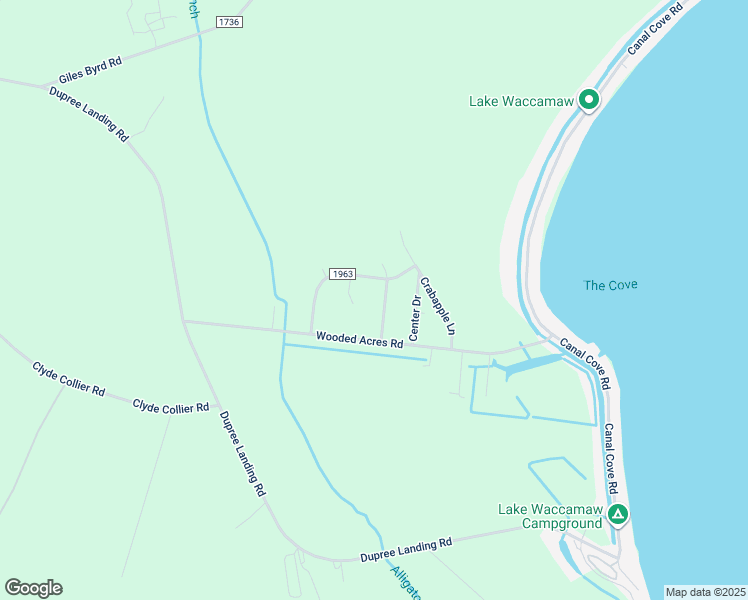 map of restaurants, bars, coffee shops, grocery stores, and more near 119 White Pine Road in Lake Waccamaw