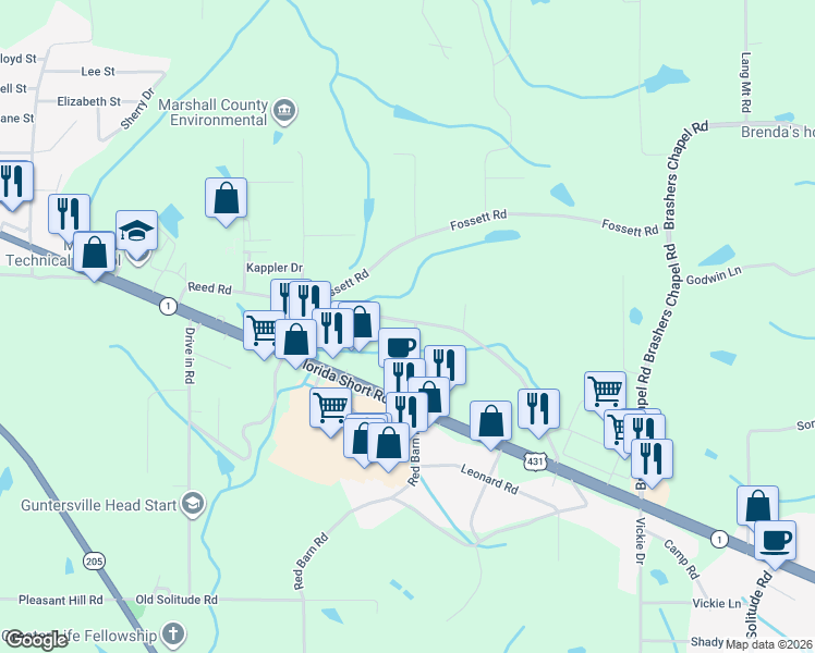 map of restaurants, bars, coffee shops, grocery stores, and more near 507 Reed Road in Guntersville