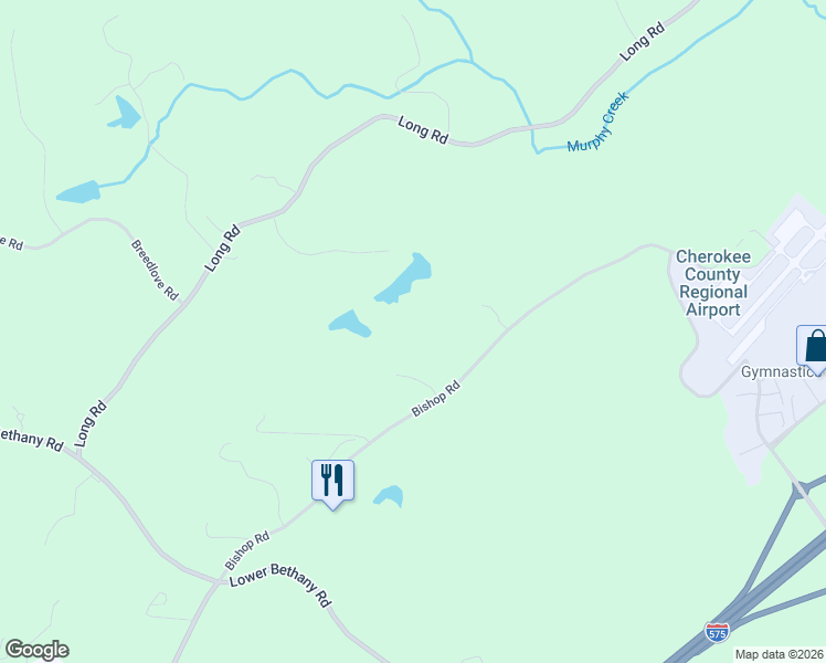 map of restaurants, bars, coffee shops, grocery stores, and more near 102 Bishop Lake Lane in Ball Ground