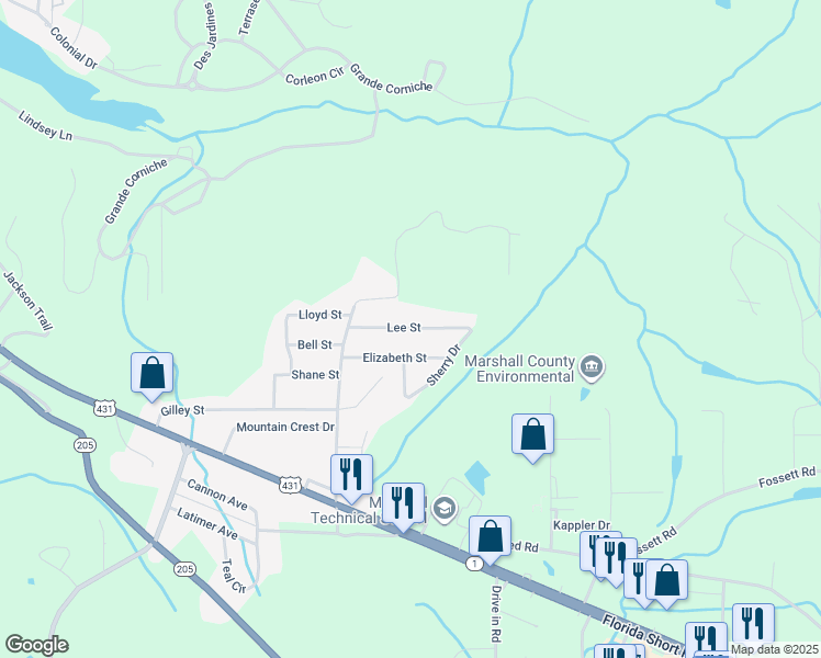 map of restaurants, bars, coffee shops, grocery stores, and more near 5019 Lee Street in Guntersville