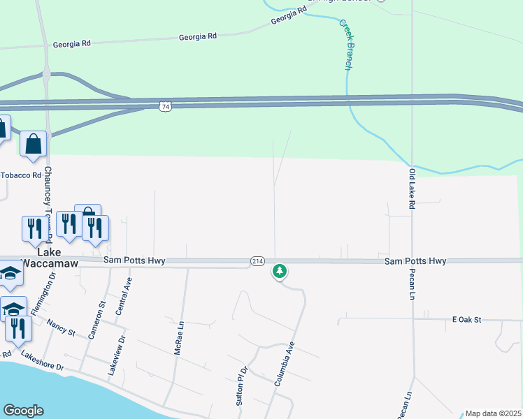 map of restaurants, bars, coffee shops, grocery stores, and more near 207 James Avenue in Lake Waccamaw