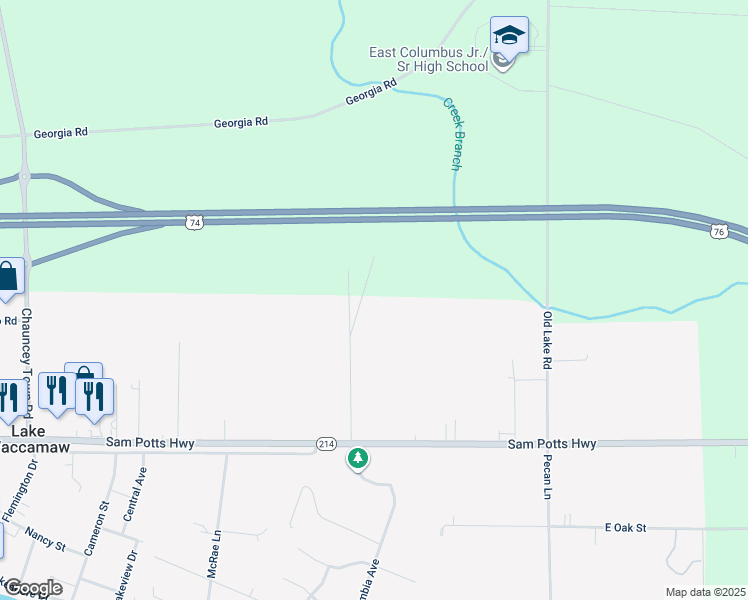 map of restaurants, bars, coffee shops, grocery stores, and more near 404 Bingham Lane in Lake Waccamaw