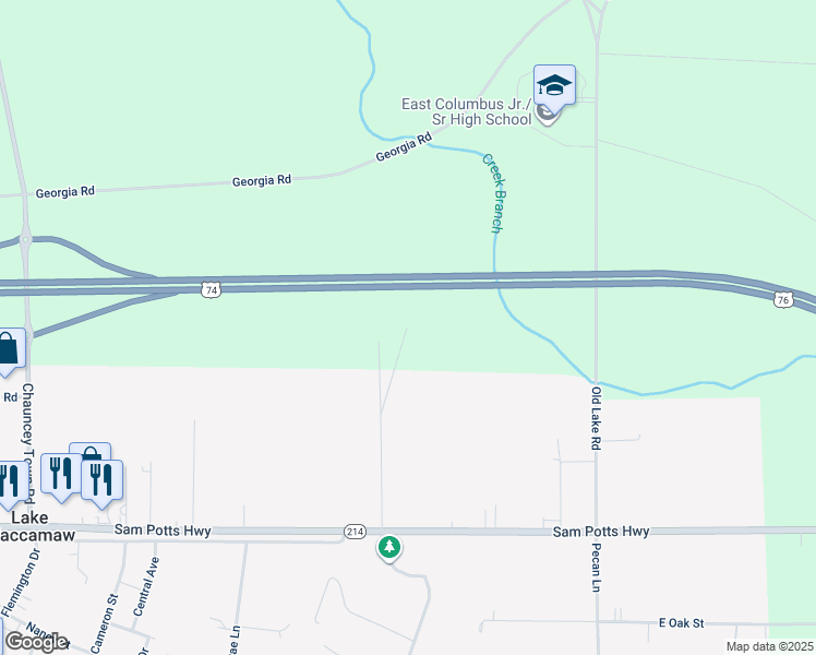 map of restaurants, bars, coffee shops, grocery stores, and more near 511 Bingham Lane in Lake Waccamaw