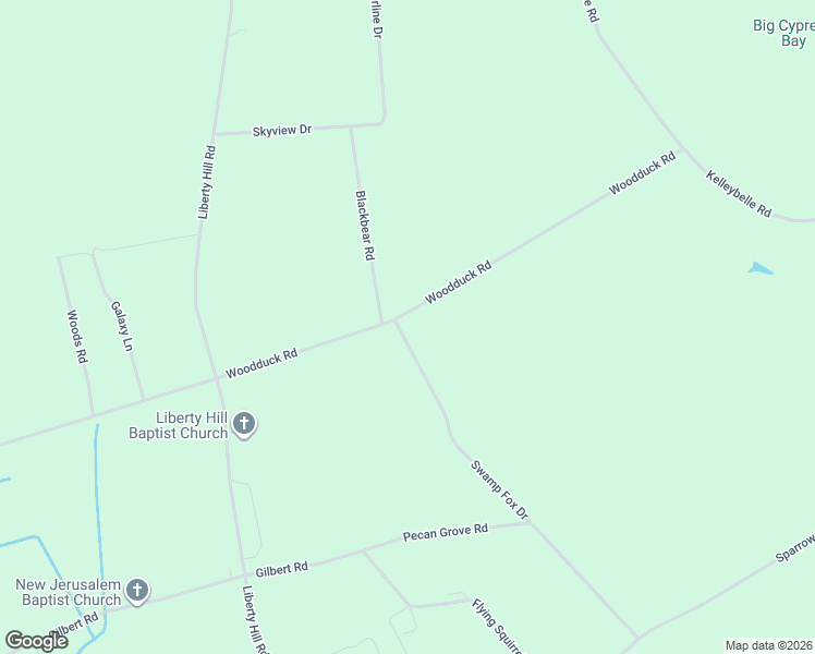 map of restaurants, bars, coffee shops, grocery stores, and more near 700-998 Swamp Fox Dr in Hartsville