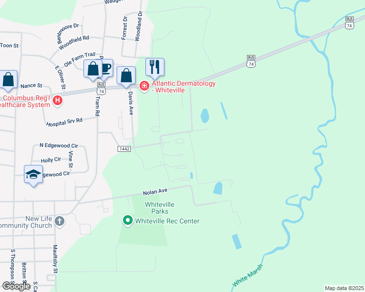 map of restaurants, bars, coffee shops, grocery stores, and more near 119 Hampton Court in Whiteville