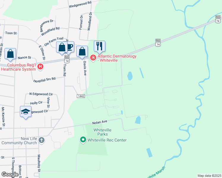 map of restaurants, bars, coffee shops, grocery stores, and more near 119 Hampton Court in Whiteville