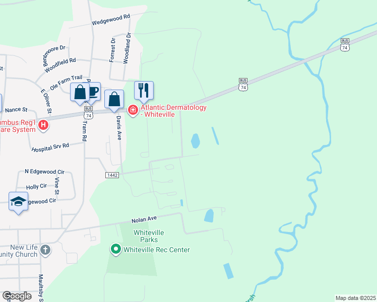 map of restaurants, bars, coffee shops, grocery stores, and more near 225 Ernest Lane in Whiteville