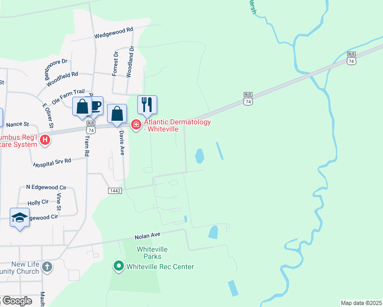 map of restaurants, bars, coffee shops, grocery stores, and more near in Whiteville