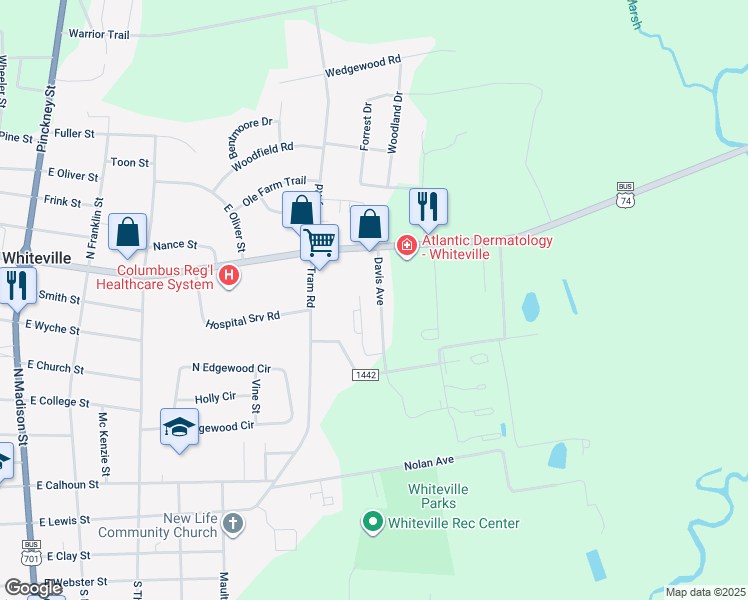 map of restaurants, bars, coffee shops, grocery stores, and more near 711 Davis Avenue in Whiteville