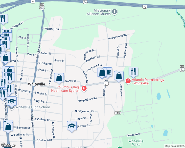 map of restaurants, bars, coffee shops, grocery stores, and more near 506 Vineland Street in Whiteville