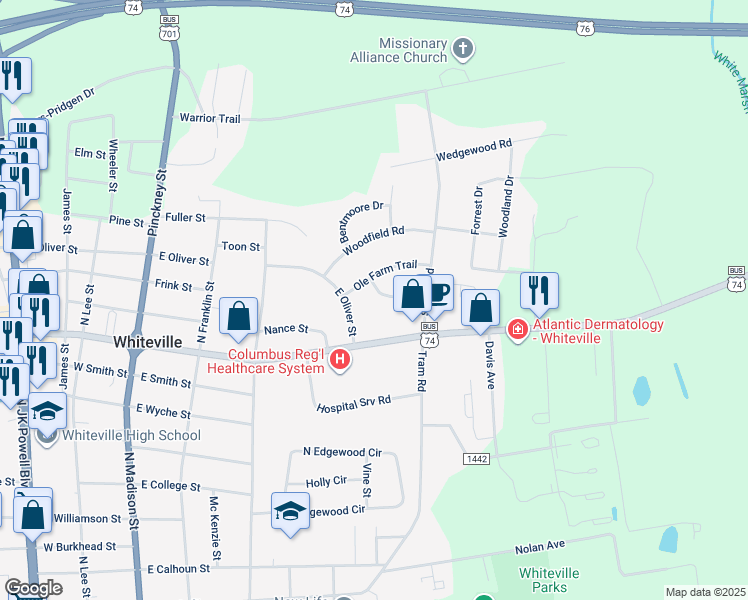 map of restaurants, bars, coffee shops, grocery stores, and more near 506 Vineland Street in Whiteville