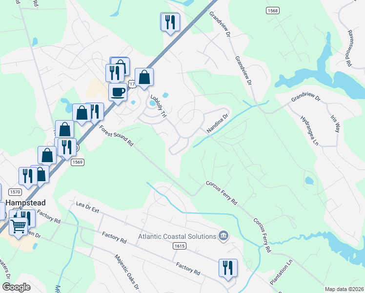 map of restaurants, bars, coffee shops, grocery stores, and more near 160 Cypress Circle in Hampstead