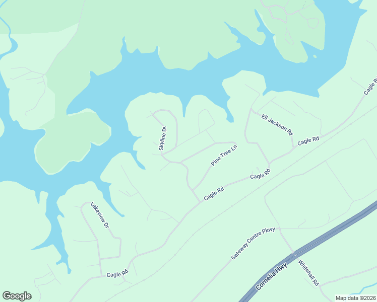 map of restaurants, bars, coffee shops, grocery stores, and more near 3930 Pine Tree Lane in Gainesville