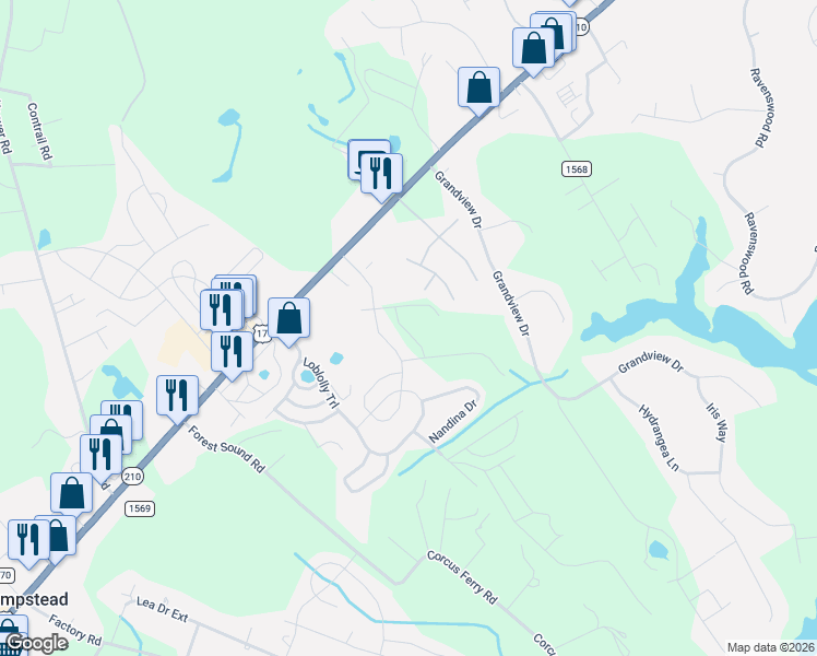 map of restaurants, bars, coffee shops, grocery stores, and more near 104 Firefly Drive in Hampstead